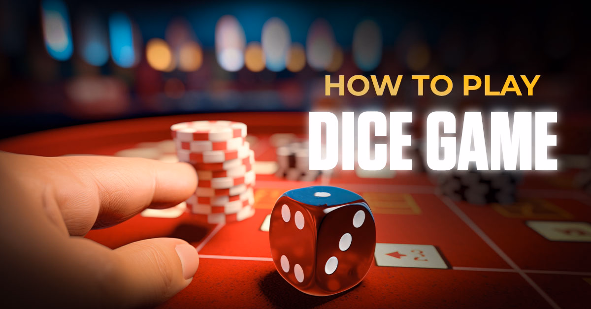 How to Play dice games