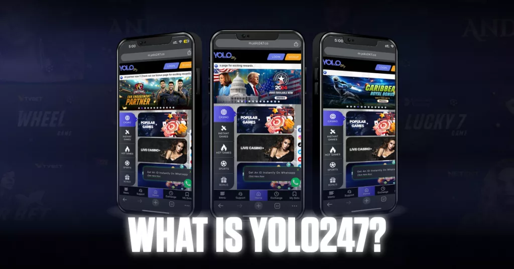 What is Yolo247