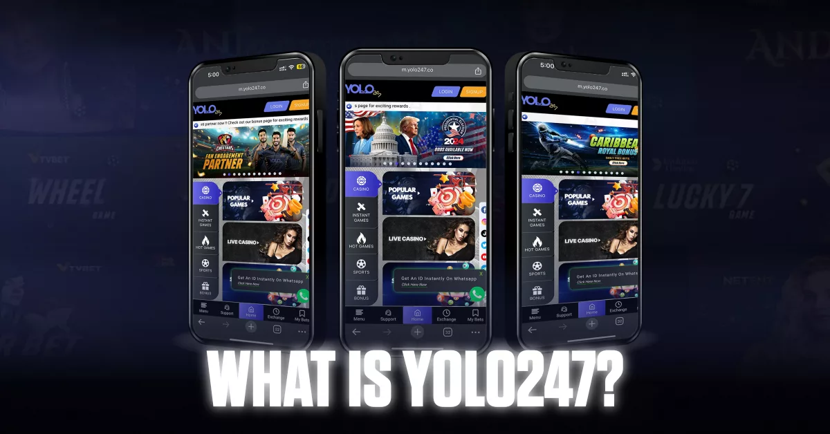 What is Yolo247